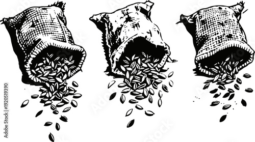 Three burlap sacks spilling grains, vintage hand drawn illustration of seed bags with scattered kernels