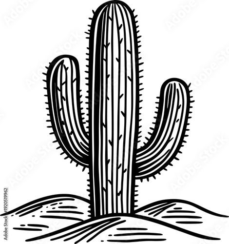 Black and white illustration of a tall saguaro cactus in desert landscape with hills