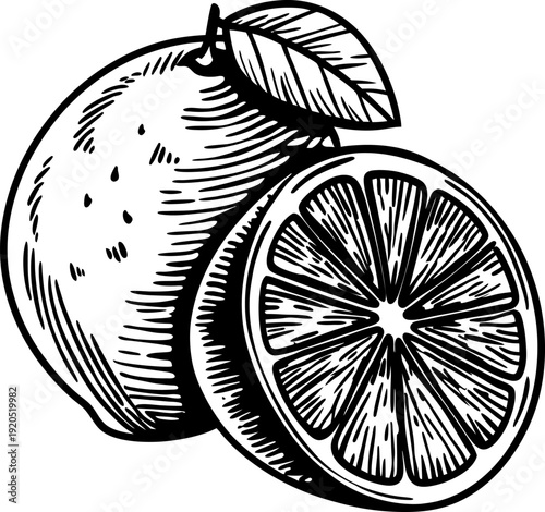 hand drawn lemon and lemon slice illustration with detailed shading and natural leaf