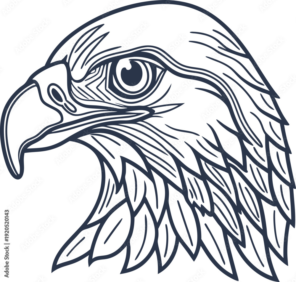 Obraz premium Detailed eagle head illustration with sharp beak and feather pattern in monochrome line art
