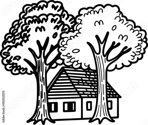 House surrounded by two large trees with full canopy, simple countryside cottage drawing