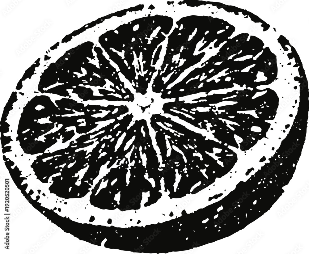 Naklejka premium Black and white orange slice illustration citrus fruit half detailed engraving fresh healthy vitamin source