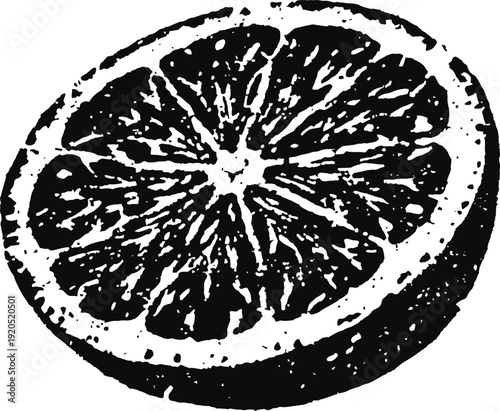 Black and white orange slice illustration citrus fruit half detailed engraving fresh healthy vitamin source