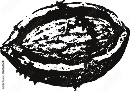 Detailed black and white illustration of an open cocoa pod with seeds inside