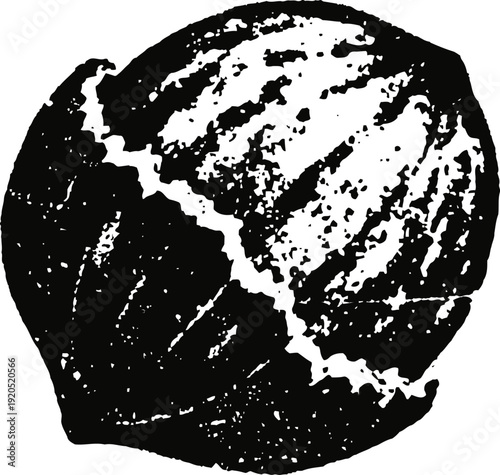 Cracked viral particle silhouette, detailed microscopic virus cell structure illustration in black and white