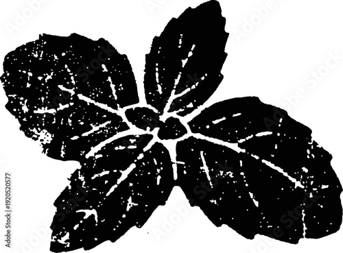Black silhouette of mint leaves with visible veins and textured surface