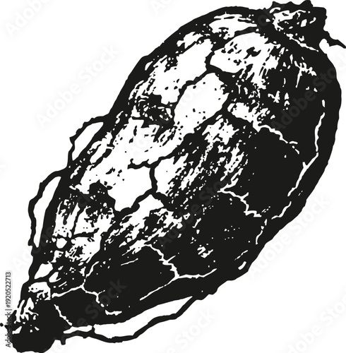 Close up detailed black and white illustration of a single artichoke vegetable with textured leaves