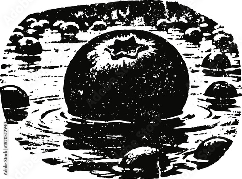 Orange fruit with leaves floating in water surrounded by water droplets splash ripples vintage