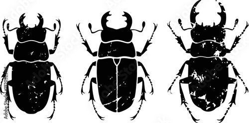 grunge beetle silhouettes set different insect shapes with texture effect vintage black bugs collection