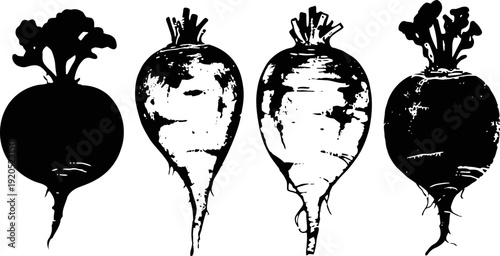 four rustic beetroot illustrations in black and white with textured vintage