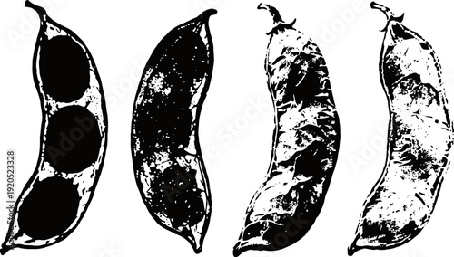 Black and white illustration of four pea pods with varying textures and shapes displayed in a row