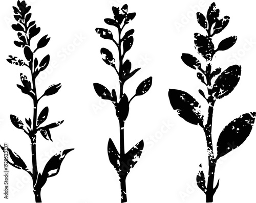 Black silhouette set of three leafy plant stems with textured grunge effect isolated on white background