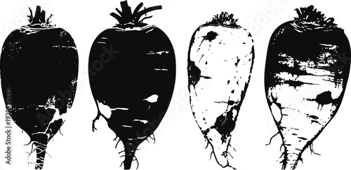 black and white beetroot illustrations root vegetables with leaves, rustic hand drawn vegetables vintage
