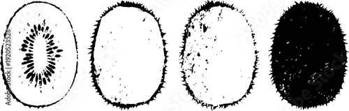 black and white kiwi fruit illustration four stages showing inside and outside textures