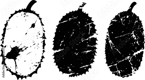 grunge durian fruit silhouette set tropical exotic spiky fruit in distressed isolated on white background