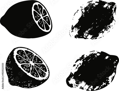 Black and white citrus lemon illustrations whole and halved fruit with ink splatter artistic style, fresh healthy vitamin source and summer icon