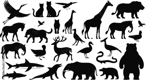 Collection of black animal silhouettes including giraffe lion elephant bear deer shark and birds on white background