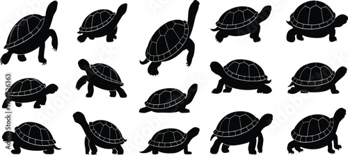 Collection of black turtle silhouettes with white outlines on a white background