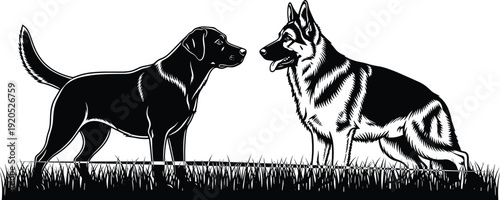 Black vector silhouette of a Labrador retriever and German Shepherd dog standing in a grassy meadow field for pet care and canine friendship branding