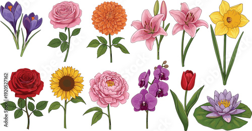 Botanical Flower Vector Collection Featuring Rose, Sunflower, Lily, Tulip, Orchid, and Lotus Blooms for Florist Branding, Spring Garden Decor, and Floral Graphic Design