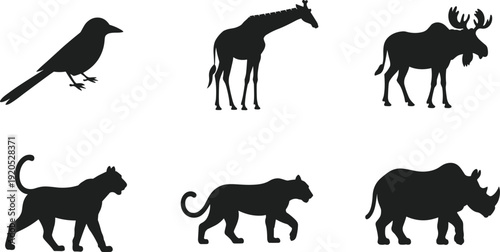 Six black animal silhouettes including a bird giraffe moose panther lion and rhinoceros on a white background