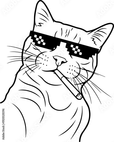 Illustration of a cat wearing shades with a cool facial expression