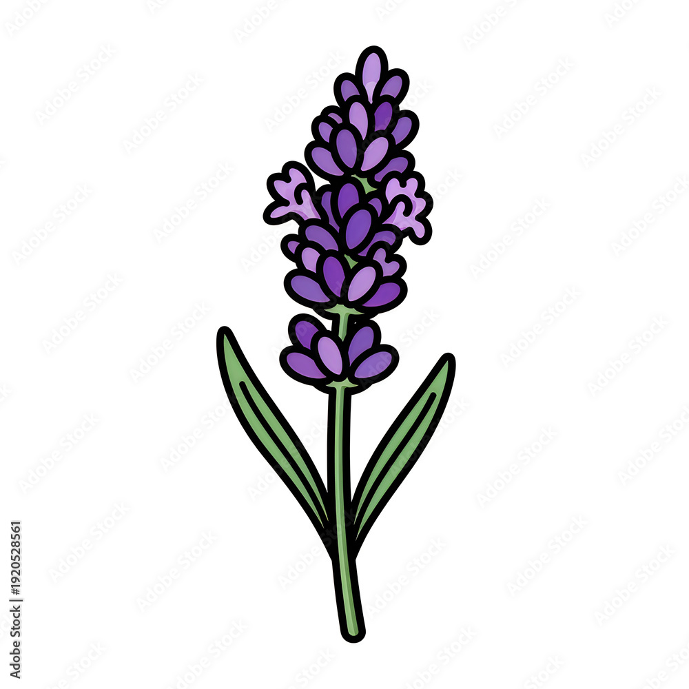 Fototapeta premium A charming illustration of a purple flowering plant with green leaves and slender stems