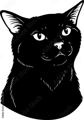Illustration of a cat with a serious facial expression