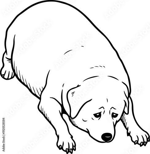 Illustration of a chubby dog laying down