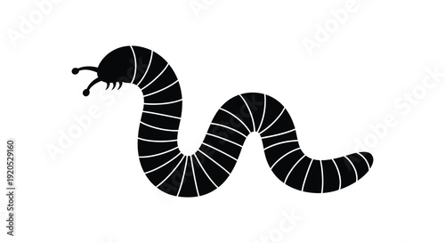 A striking black and white illustration depicts a segmented worm like creature with a distinct head presented as a silhouette