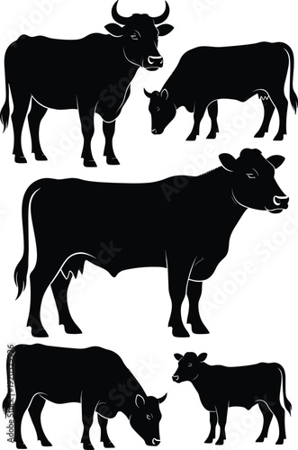 Cow and bull silhouettes collection, farm cattle livestock set including calf and dairy animals, black vector illustration isolated on white background