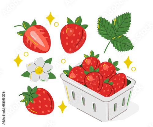 Whole and half strawberry with leaves and flowers. Berries in cardboard supermarket carton box vector illustration.