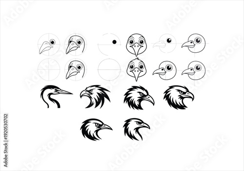 Bird Head Drawing Tutorial Steps From Basic Shapes to Detailed Icons