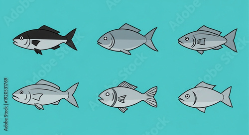 Six Different Types of Fish Illustrated on a Blue Background.