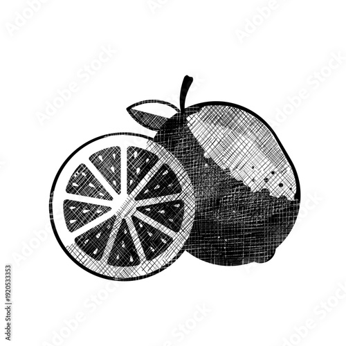 Lemon fruit and slice, hand drawn vector illustration of citrus