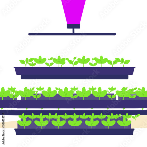 Vertical Farm Monitoring