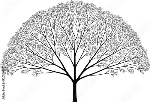 Stylized symmetrical fractal tree illustration, branching pattern artwork, mathematical recursion concept design, abstract nature symbol, computer science structure, digital geometry artwork