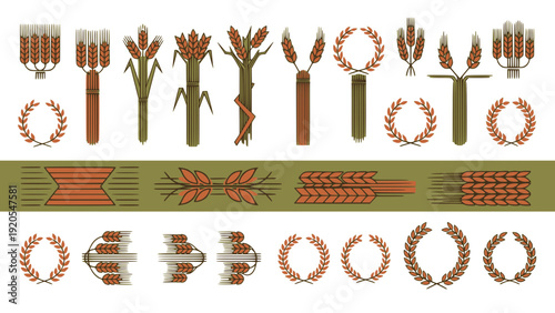 Wheat or barley ears. Harvest wheat grain, growth rice stalk and bread grains isolated vector set. Harvest wheat grain, growth rice stalk and whole bread grains. Agriculture. Transparent SVG version.