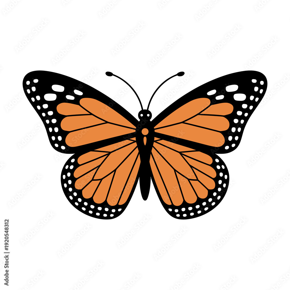 Fototapeta premium A beautiful orange and black monarch butterfly isolated on transparent background with white spots on its wings