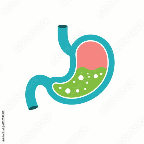 A stylized illustration of the human stomach showing digestive fluids and gastric acid inside the organ.
