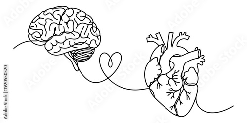Continuous line drawing of a human brain and heart connected by a thin line forming a small heart Vector, illustration