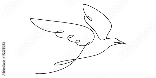 Fotografie A simple continuous line art illustration depicting a small bird in flight against a plain white background