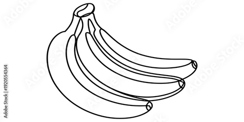 Simple black and white line drawing of a bunch of three bananas on a plain white background. isolated on white background, Vector, illustration