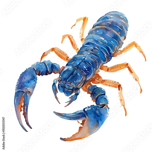 watercolor vector of Scorpion , isolated on a white background.