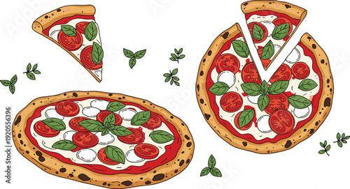 Margherita pizza hand drawn illustration. Whole and sliced pies with basil and tomato on thin crust. Realistic Italian food art isolated on white background.