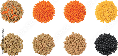 Lentils set product style illustration. Eight colorful lentil varieties arranged in grid with labels. Top view food collection isolated on white background.