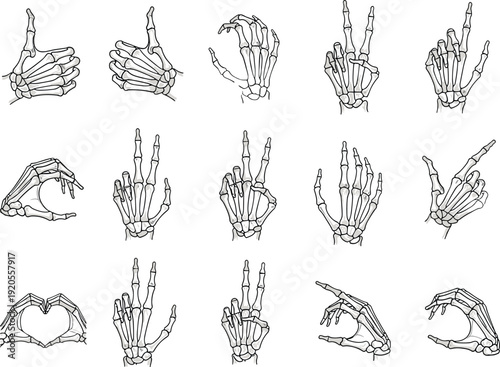 Anatomical skeletal hand illustration, fifteen gestures, phalanges metacarpals carpals bones, expressive poses, peace sign, pointing, heart shape, anatomy art drawing