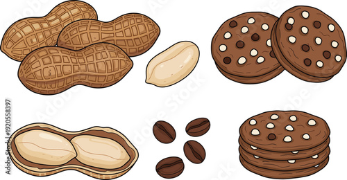 Chocolate chip cookie recipe diagram illustration. Peanuts and cookies arranged in clean 2x2 grid. Hand drawn food concept isolated on white background.