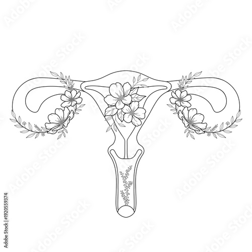 Detailed Floral Uterus Line Art – Feminine Botanical Anatomy Illustration
