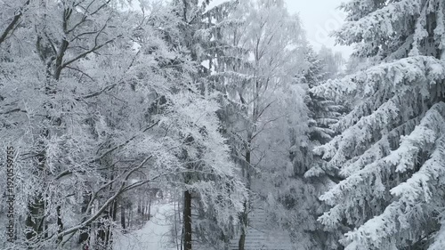 Drone flying over snowy winter forest.